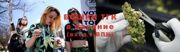 спайс Бородино