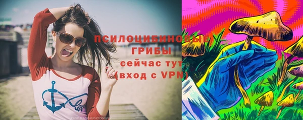 спайс Бородино