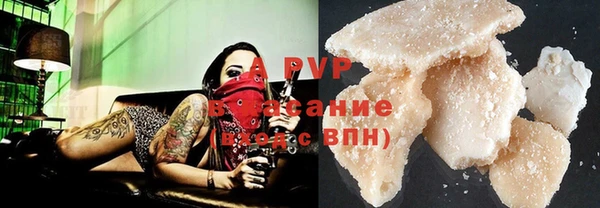 спайс Бородино