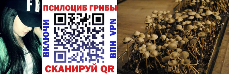 мориарти телеграм  Конаково  Галлюциногенные грибы ЛСД  сколько стоит 