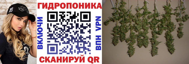где можно купить наркотик Конаково blacksprut ссылки Каннабис Ganja